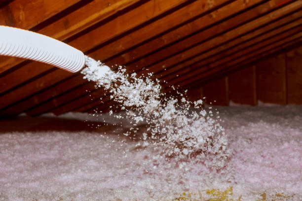 Best Energy Efficiency Solutions in Avra Valley, AZ