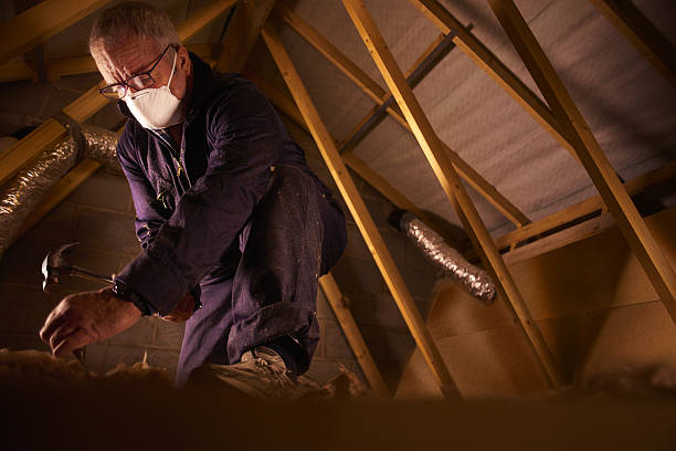 Best Types of Insulation in Avra Valley, AZ